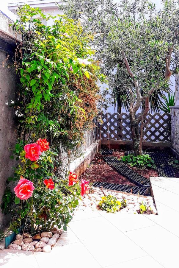 Apartments Iris Korčula Extérieur photo